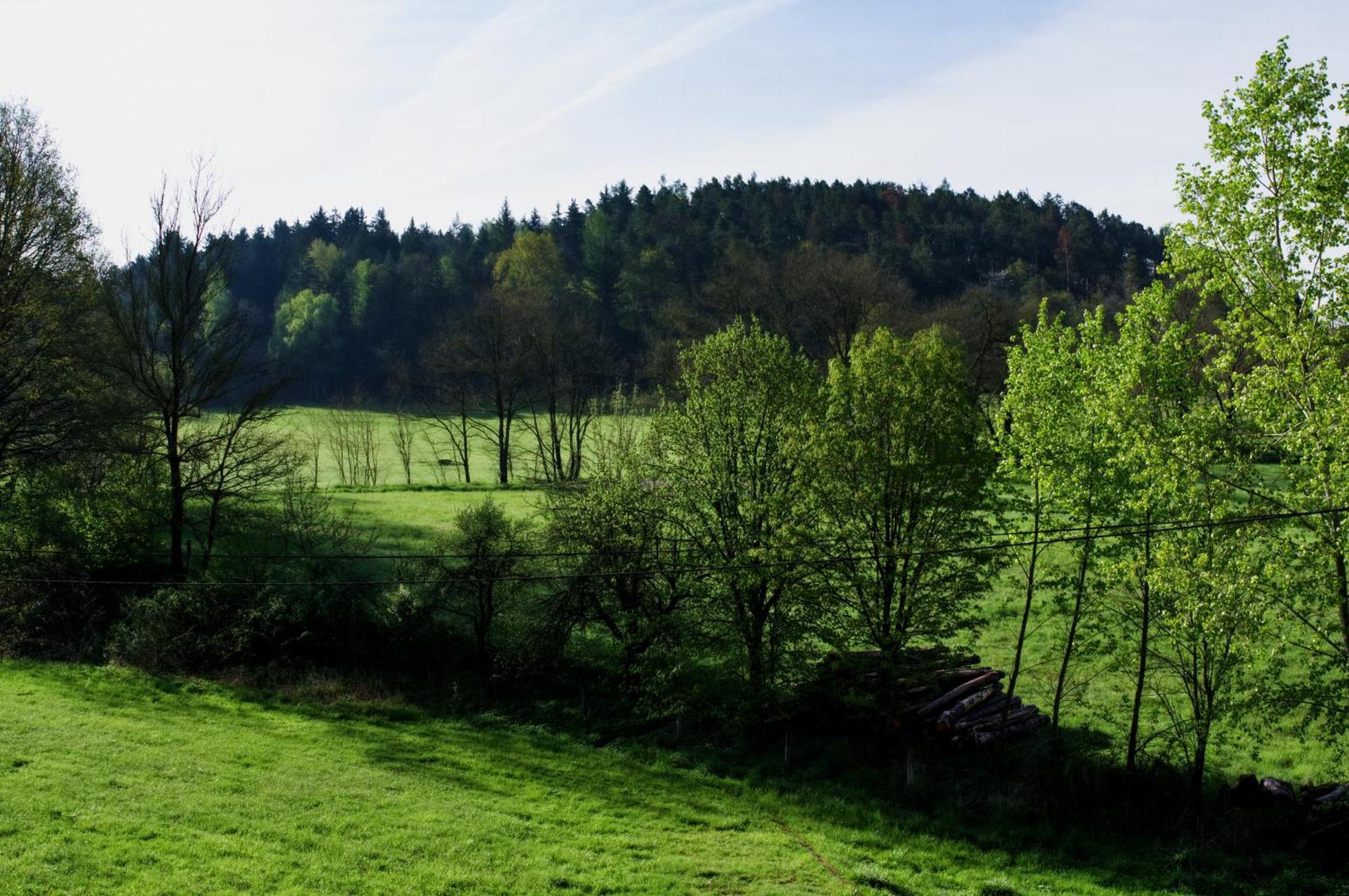 Mlyn Kamenice Klucenice Bagian luar foto
